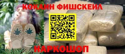 гидра Новозыбков
