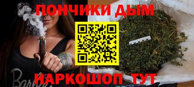 гидра Новозыбков