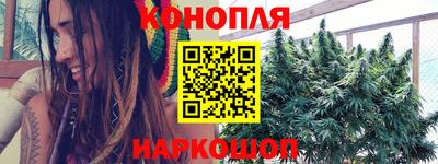 гидра Новозыбков