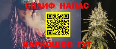 гидра Новозыбков