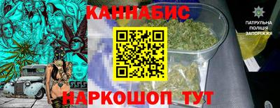 гидра Новозыбков