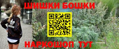 гидра Новозыбков