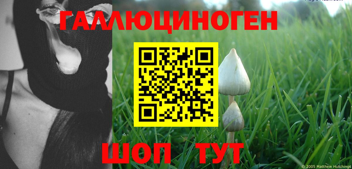 Рязань  Галлюциногенные грибы Psilocybe  Вход с VPN 